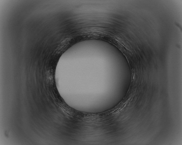 X0000093220771200709261445
