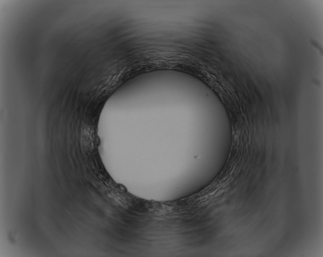 X0000093220772200709261445