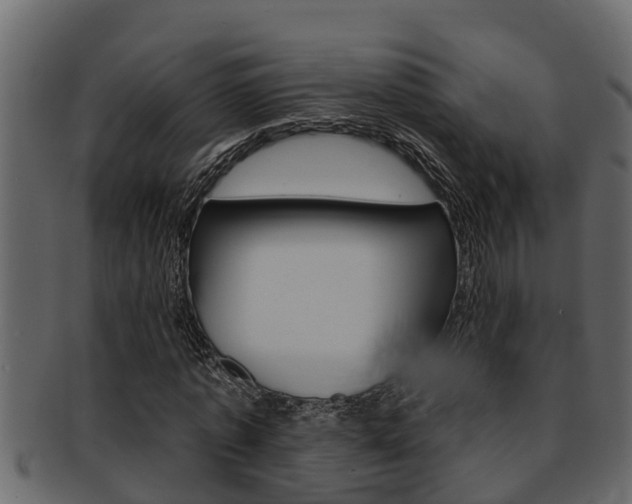 X0000093220773200709261445