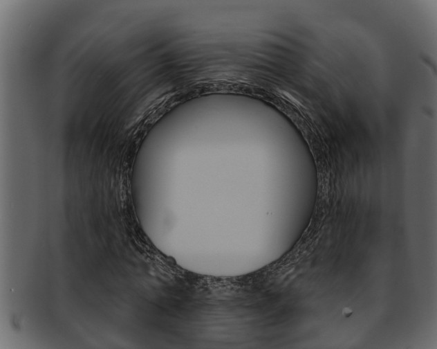 X0000093220774200709261445