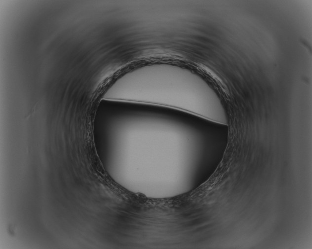 X0000093220775200709261445