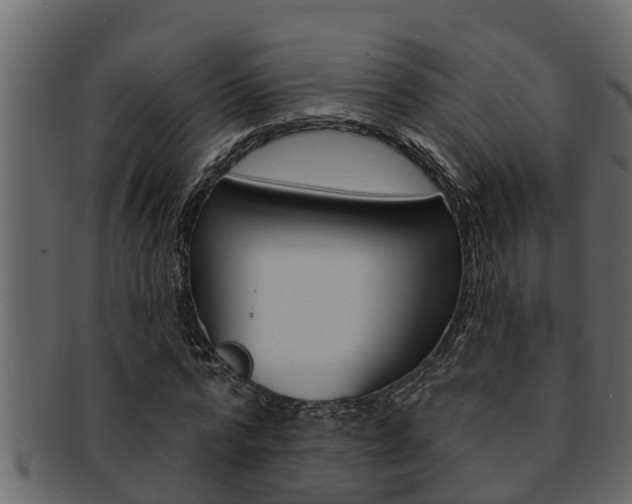 X0000093220776200709261445