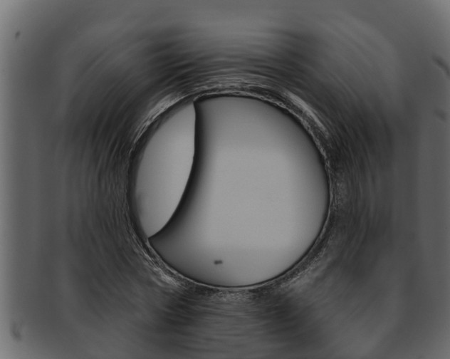 X0000093220778200709261445