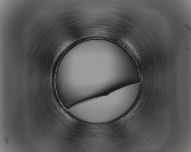 X0000093220780200709261445