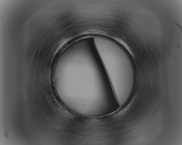 X0000093220783200709261445