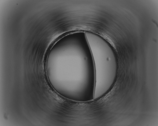 X0000093220784200709261445