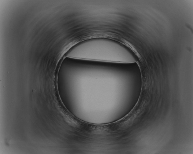 X0000093220786200709261445