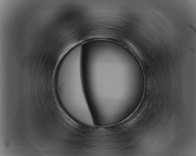 X0000093220787200709261445