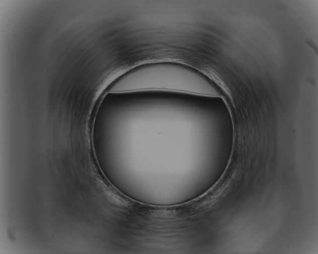 X0000093220789200709261445