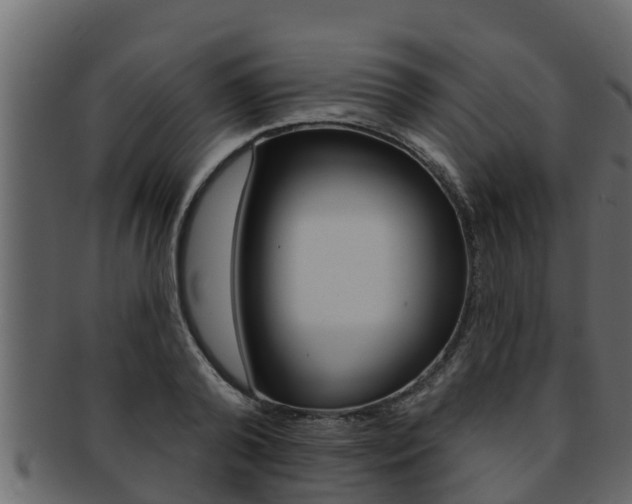 X0000093220792200709261445