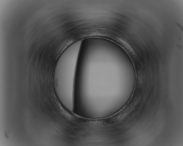 X0000093220793200709261445