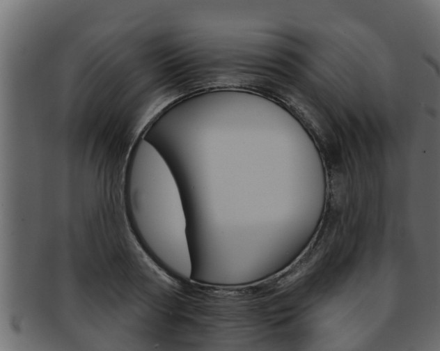 X0000093220794200709261445