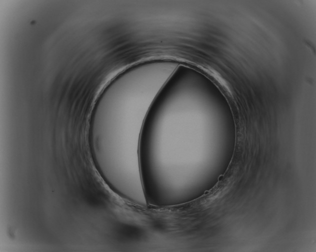 X0000093220799200709261445