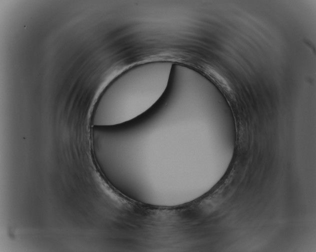 X0000093220800200709261445