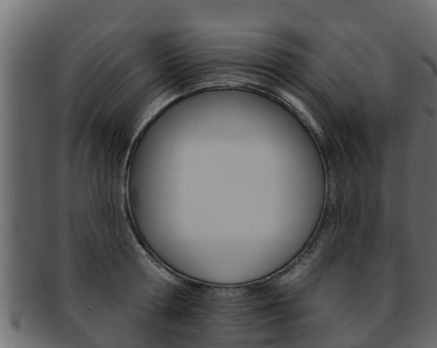 X0000093220802200709261445