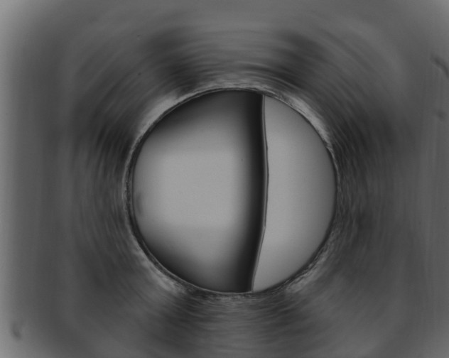 X0000093220803200709261445