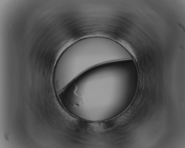 X0000093220805200709261445