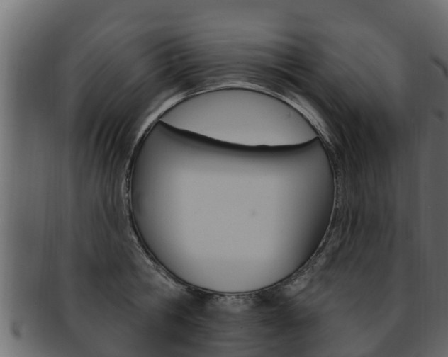 X0000093220806200709261445