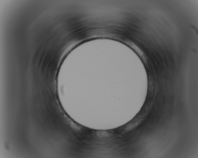 X0000093220807200709261445
