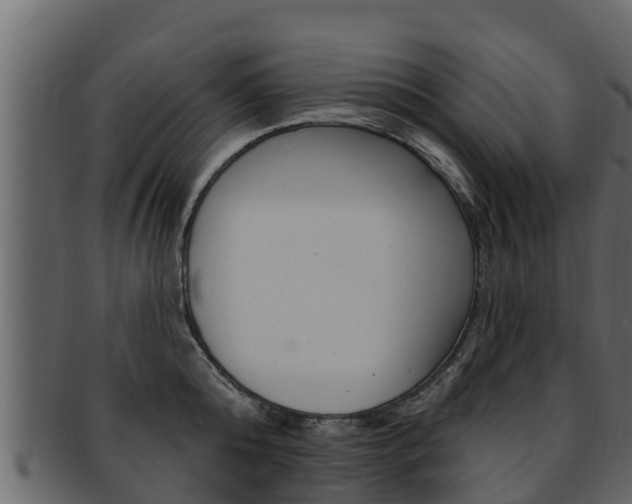 X0000093220808200709261445