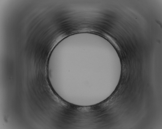 X0000093220810200709261445