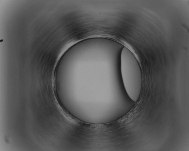 X0000093220811200709261445
