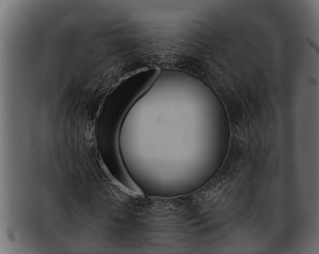 X0000093220818200709261444