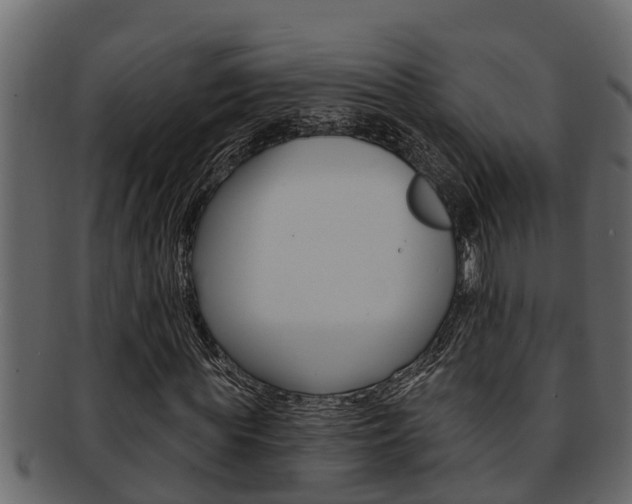 X0000093220819200709261444