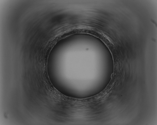 X0000093220821200709261444