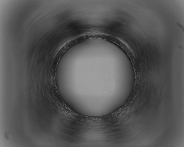 X0000093220823200709261444