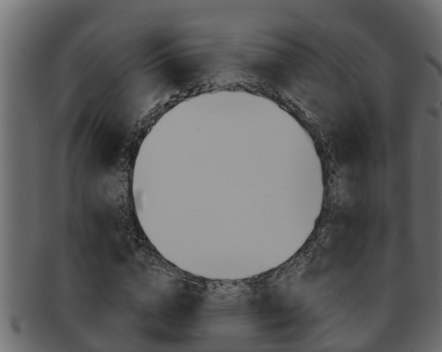 X0000093220824200709261444