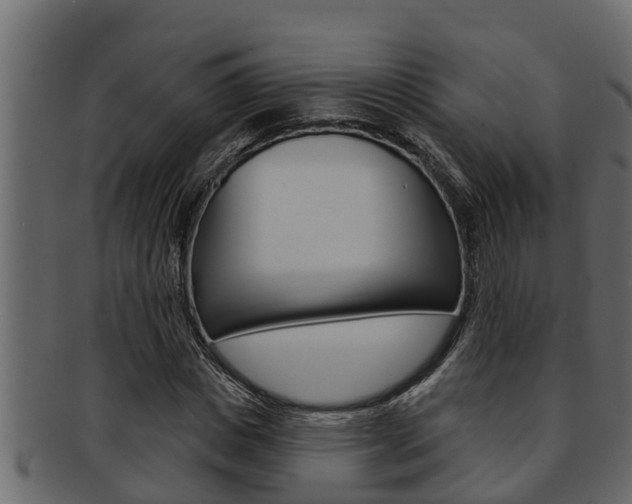X0000093220825200709261444