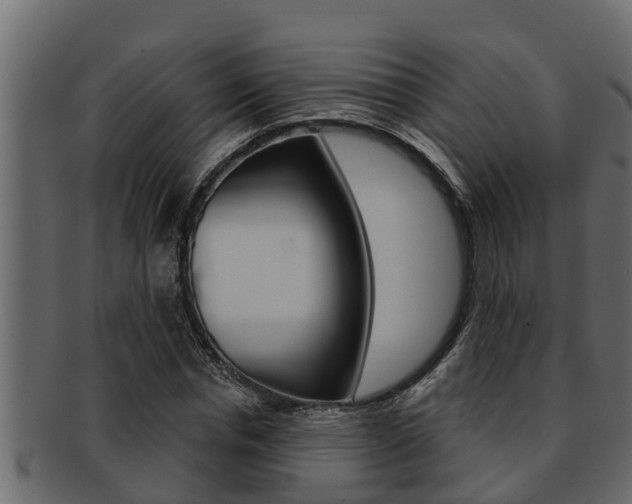 X0000093220826200709261444