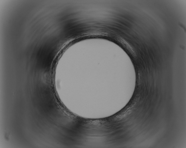 X0000093220828200709261444