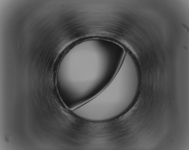 X0000093220830200709261444