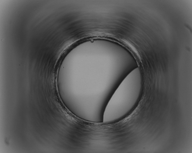 X0000093220831200709261444