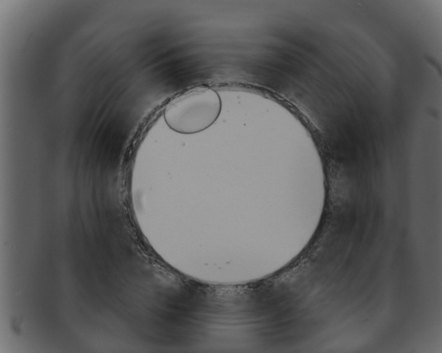 X0000093220832200709261444
