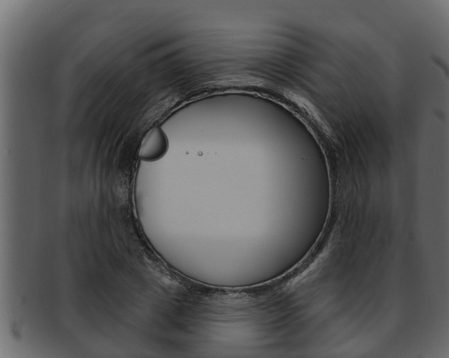 X0000093220833200709261444