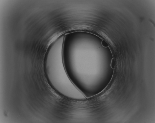 X0000093220834200709261444