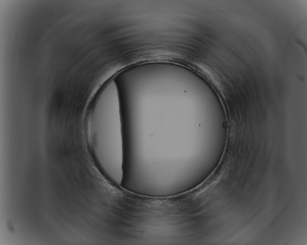X0000093220835200709261444