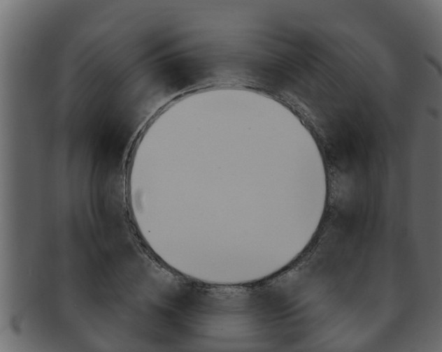 X0000093220836200709261444