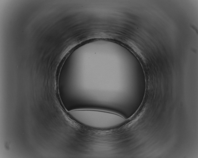 X0000093220837200709261444