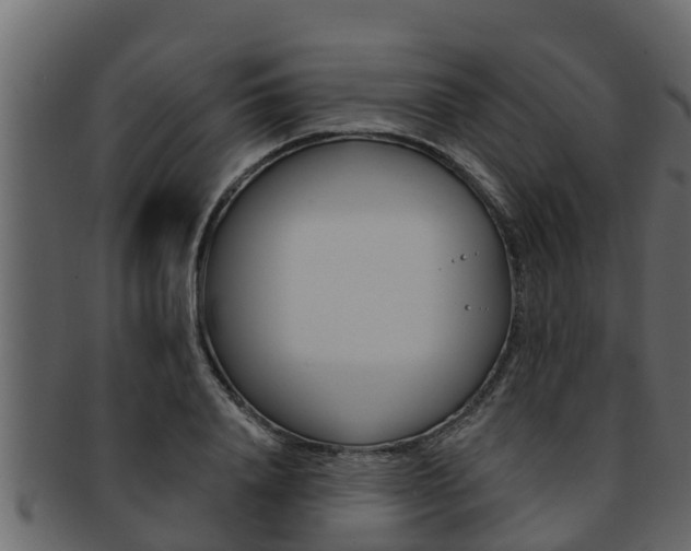 X0000093220840200709261444