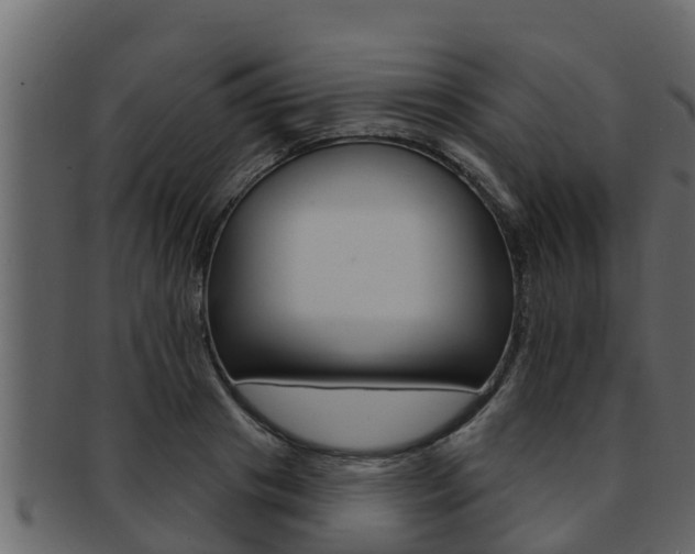 X0000093220841200709261444