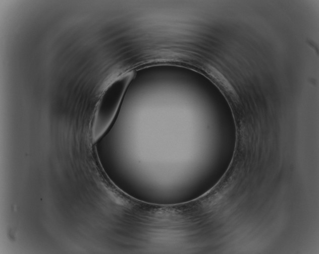 X0000093220842200709261444