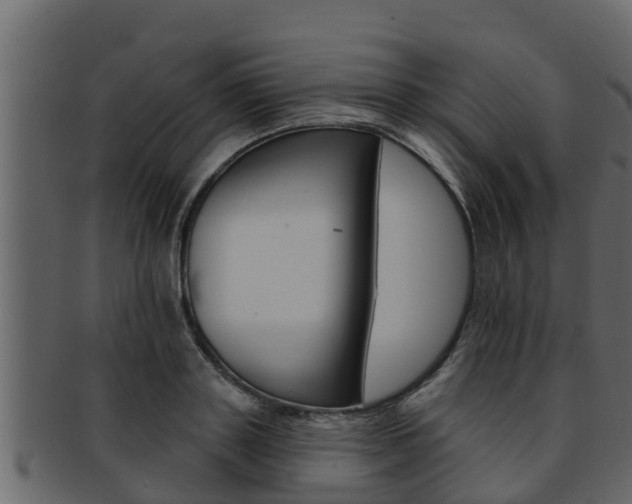 X0000093220843200709261444