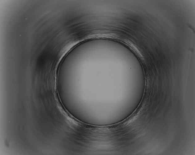 X0000093220844200709261444