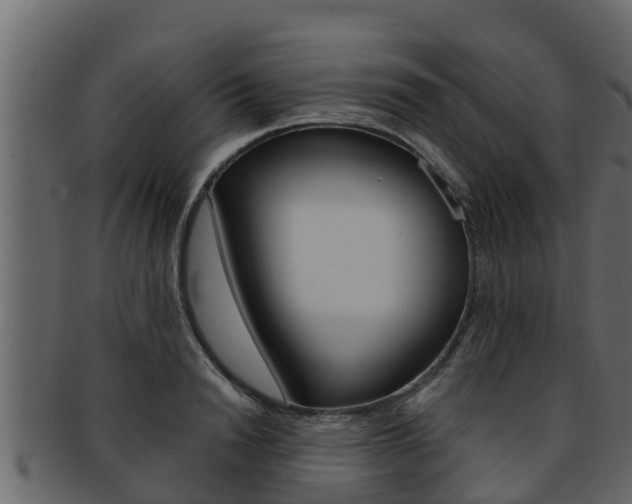 X0000093220846200709261444