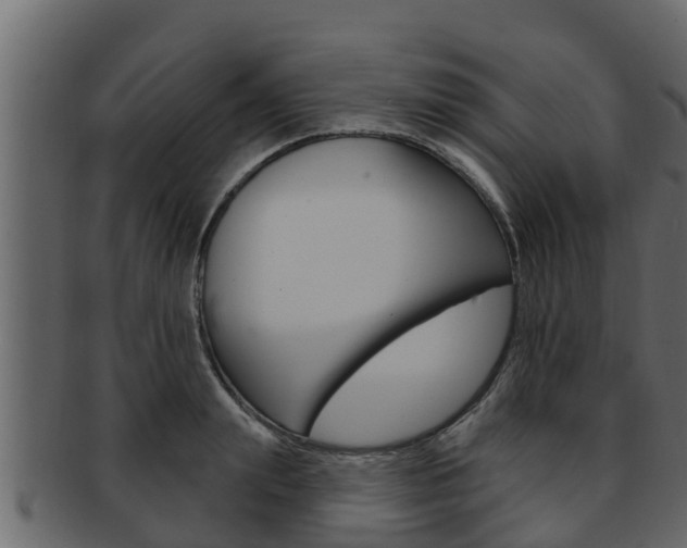 X0000093220847200709261444