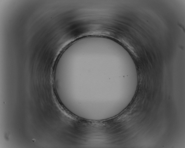 X0000093220848200709261444